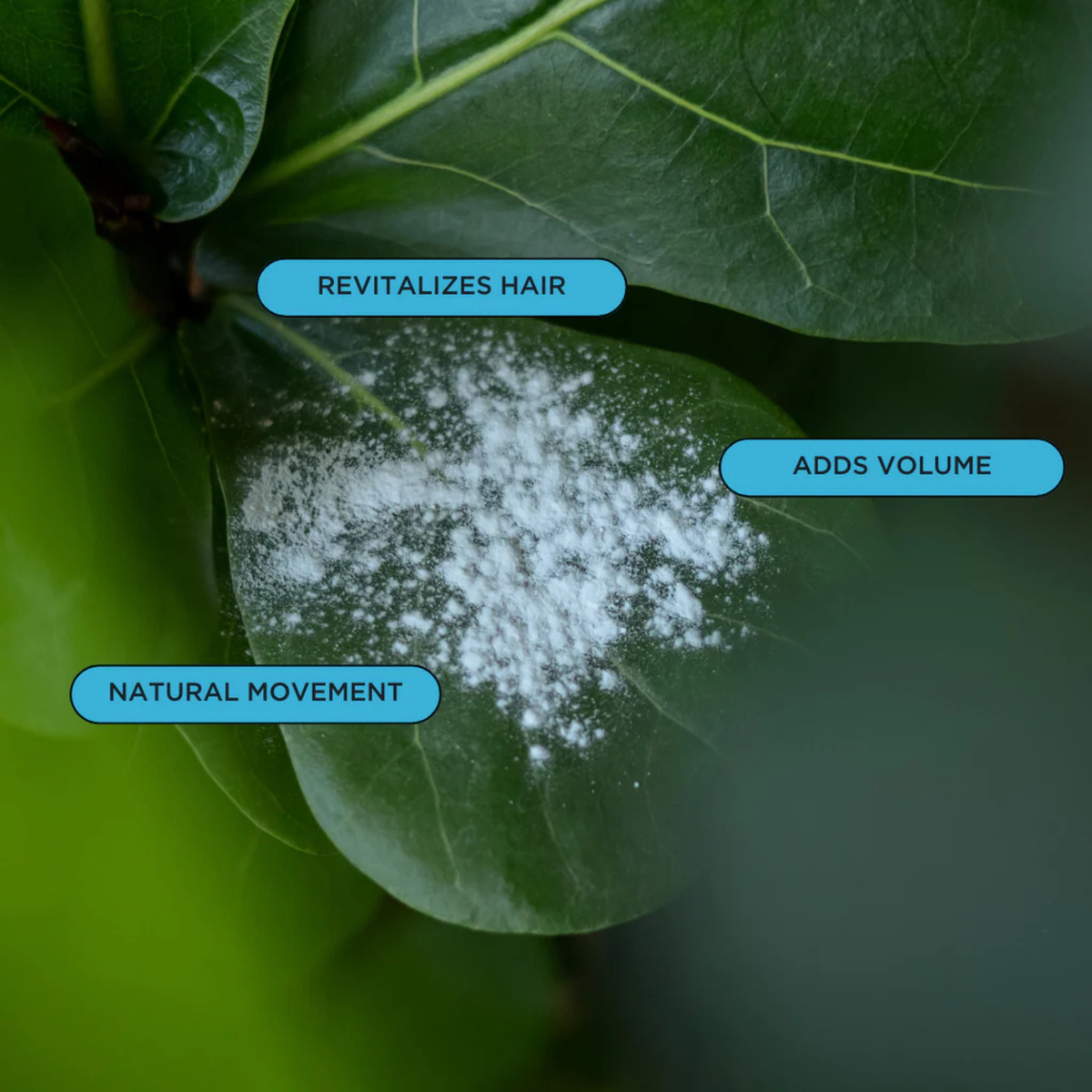 O'Douds Dry Shampoo (15g)